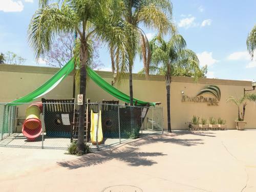 Hotel Paseo Palmas
