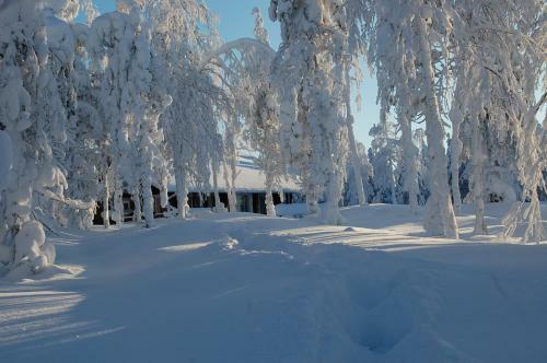 Lodge Rukaneli� Cottage