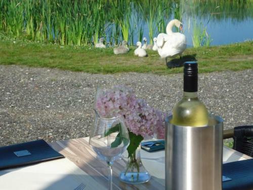 Luxury Villa In Harderwijk Near Lake