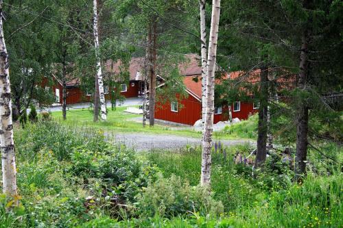 Nms Camp Sjusj�en