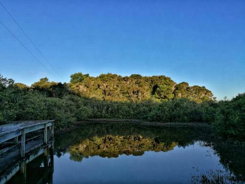Lodge Aroha Island