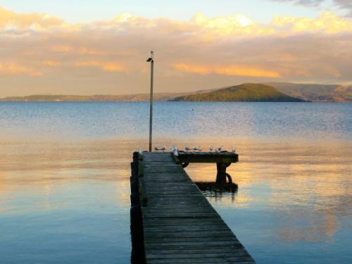 Bed & Breakfast Silvereye Retreat