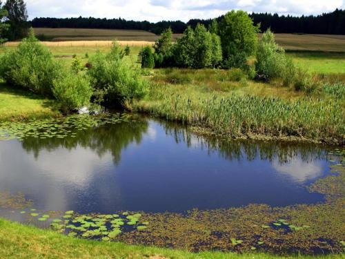 Holiday Home Villa Bieszkowice