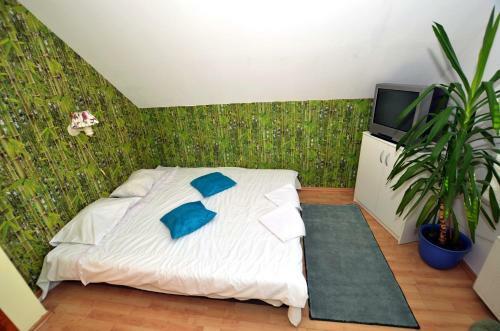 Hostel Madeira