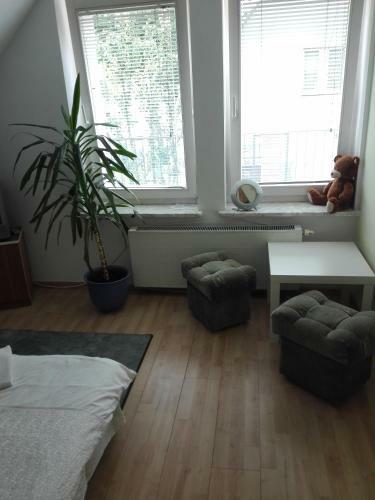 Hostel Madeira