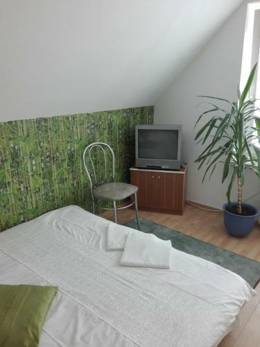 Hostel Madeira