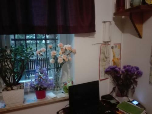 Hostel Madeira