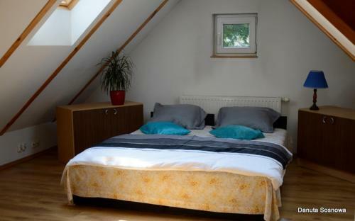 Hostel Madeira