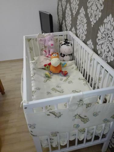 Hostel Madeira