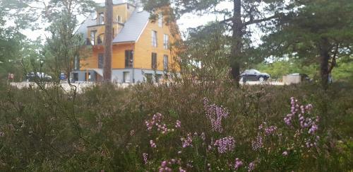 Apartamento Na Wydmach. Spok�j. Cisza. Las Dooko?a