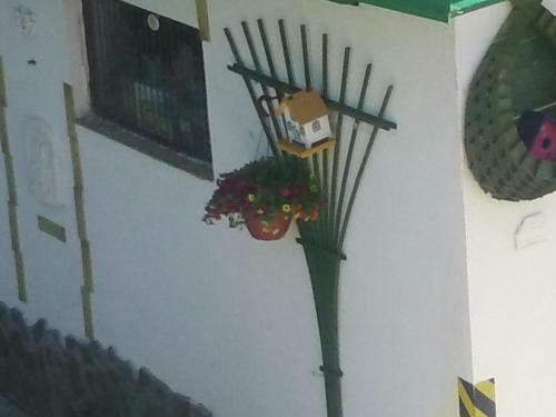 Hotel Beatka