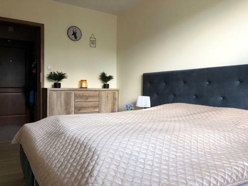 Apartamenty Villa Incognito