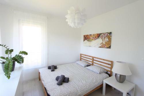 Equilibrium Apartments