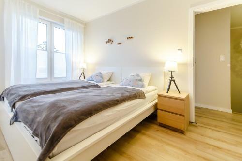 Equilibrium Apartments