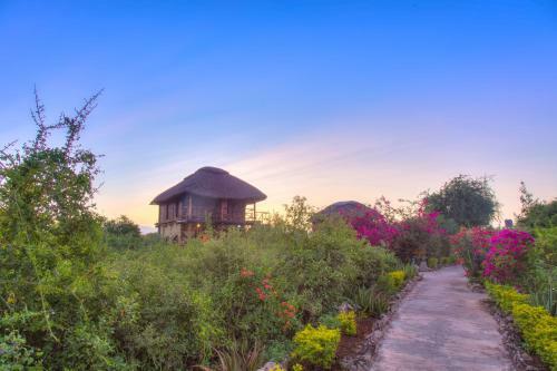 Lodge Manyara Wildlife Safari Camp