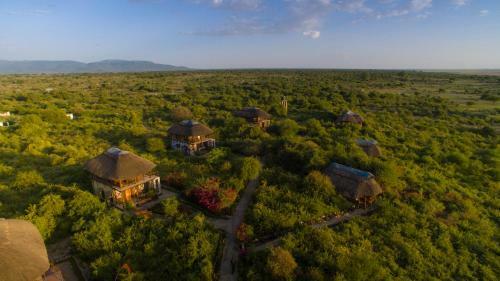 Lodge Manyara Wildlife Safari Camp