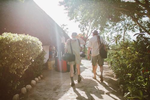 Lodge Manyara Wildlife Safari Camp