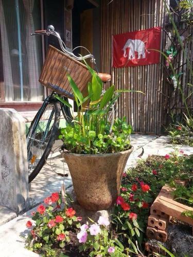 Posada Artist's Place Trat