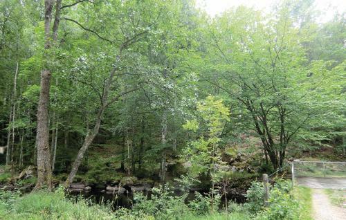 Holiday Home Asarum Gamla Tingsrydsv�gen