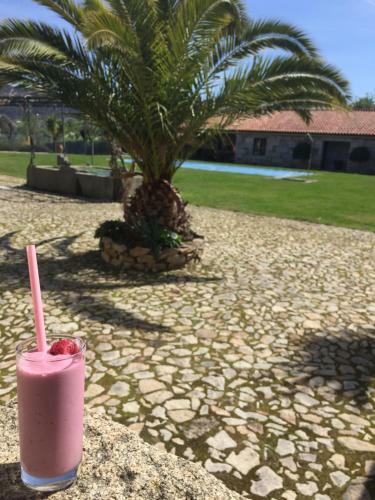 Bed & Breakfast Quinta Da Vinha Morta