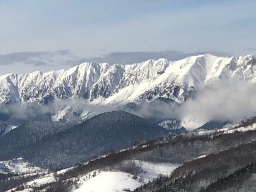 Hostal Bran Monte Crai Chalet