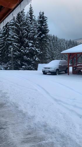 Hostal Cabana Cerbul-oasa-transalpina