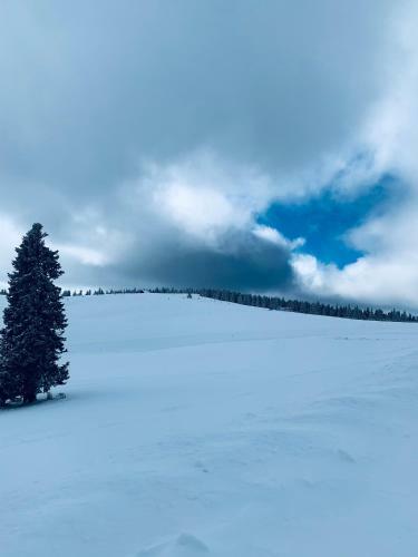 Hostal Cabana Cerbul-oasa-transalpina
