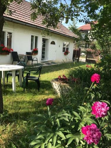 Hostal Casuta Sanatatii