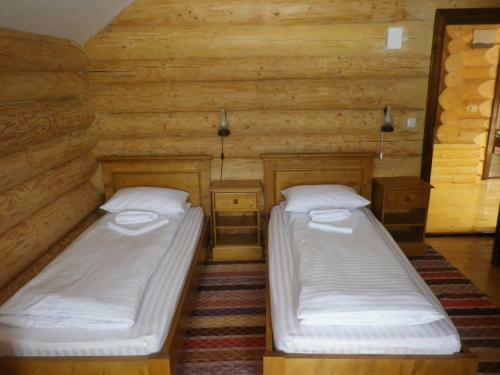 Hostal Rustic Ghetar