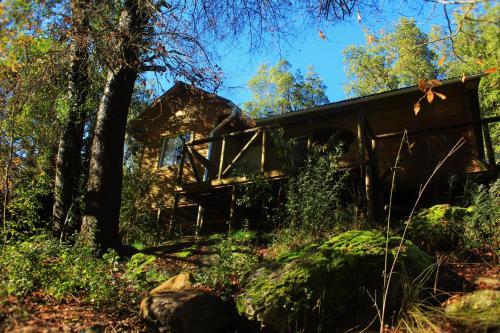 Lodge Caba�as Los Maquis 7 Tazas