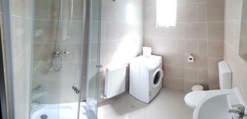 Apartament Tudor