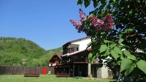 Hostal Cabana Poiana Galdei