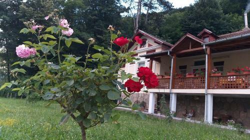 Hostal Casa Laura