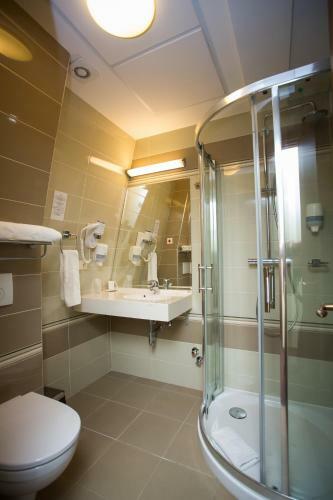 Hotel Leul De Aur