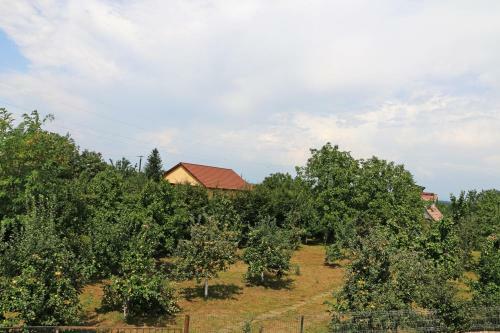 Posada Hanu Lui Gica