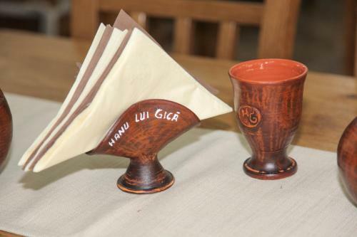 Posada Hanu Lui Gica