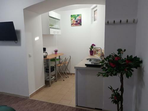 Apartamento Casa Green Life