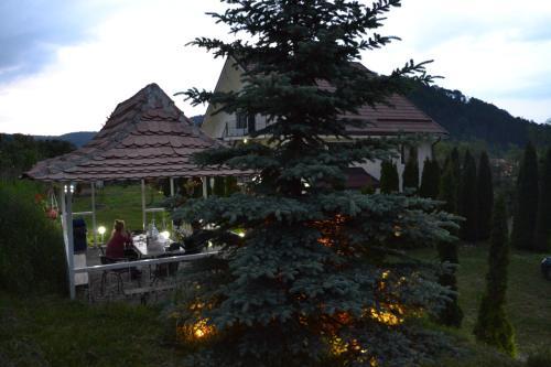 Casa Carpati