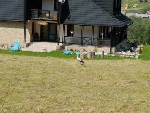 Agroturismo Pensiunea Maria-bucovina