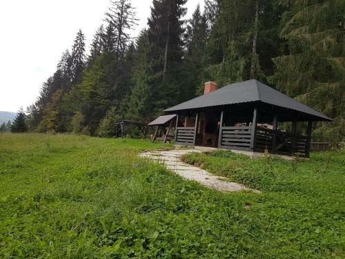 Agroturismo Pensiunea Maria-bucovina