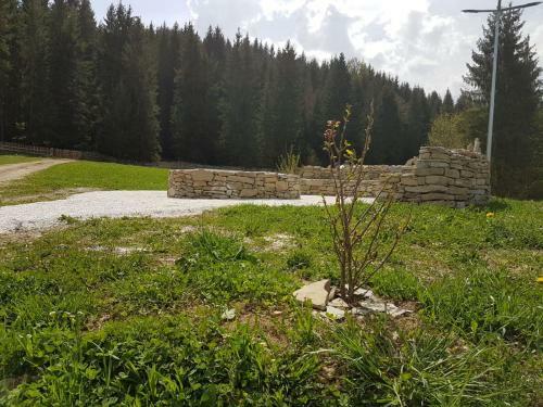 Agroturismo Pensiunea Maria-bucovina