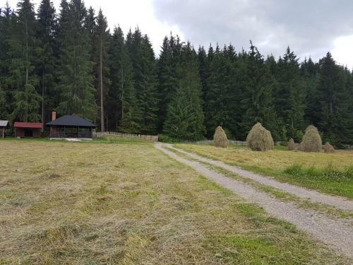 Agroturismo Pensiunea Maria-bucovina
