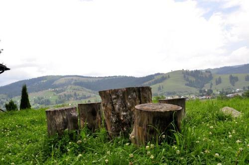 Agroturismo Pensiunea Maria-bucovina
