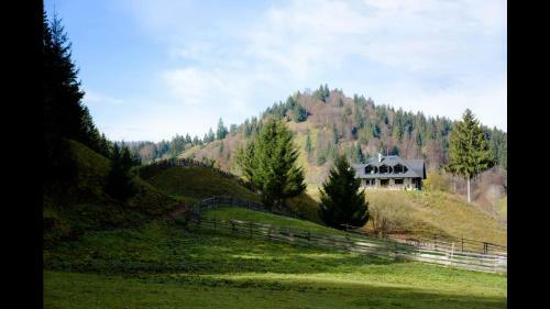Agroturismo Pensiunea Maria-bucovina
