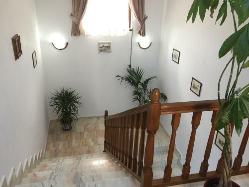 Agroturismo Pensiunea Zana Muntilor
