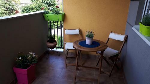 City Park Apartment