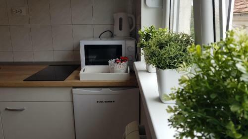 Apartments Spring
