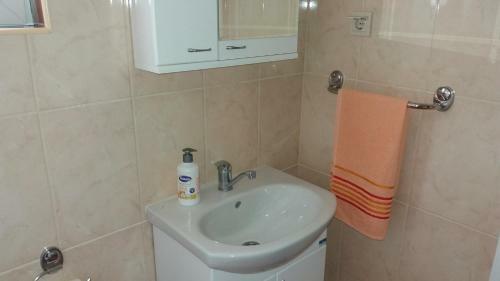 Apartment Petar