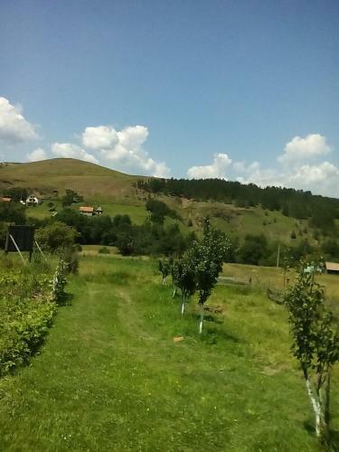 Holiday Home Vila Milka