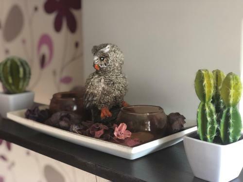 Apartman Ivana